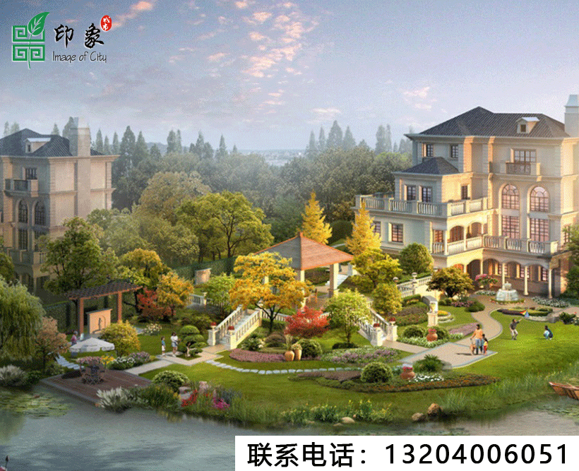 万锦香樟树